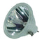 Synelec LTOBLM800PPH Philips TV Lamps Bare