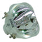 NEC LTOBLT10LPPOS Osram FP Lamps Bare