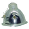 NEC LTOBLT10POS Osram FP Lamps Bare