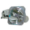 Phoenix LTOBSHP137PPX Phoenix FP Lamps Bare