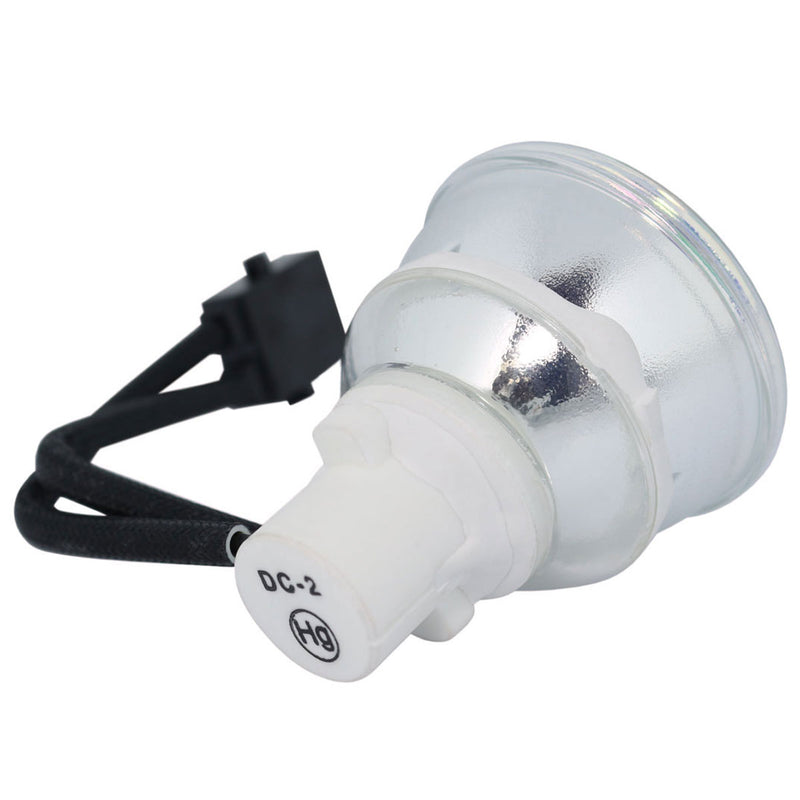 Eiki LTOBEIP250PPX Phoenix FP Lamps Bare