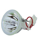 InFocus LTOBSP4805PPX Phoenix FP Lamps Bare