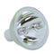 A+K LTOB21289PPX Phoenix FP Lamps Bare