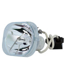 A+K LTOB21232PPX Phoenix FP Lamps Bare