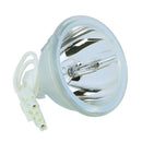 Phoenix LTOBSHP41PPX Phoenix FP Lamps Bare