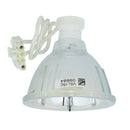 Phoenix LTOBSHP41PPX Phoenix FP Lamps Bare