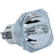 Phoenix LTOBSHP67PPX Phoenix FP Lamps Bare