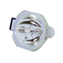 Phoenix LTOBSHP86PPX Phoenix FP Lamps Bare