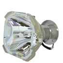 Sharp LTOBXVZ20000PPX Phoenix FP Lamps Bare