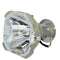 Sharp LTOBDT5000PPX Phoenix FP Lamps Bare