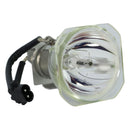 Sharp LTOBANXR20L2PPX Phoenix FP Lamps Bare