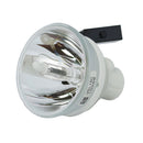 Phoenix LTOBSHP113PPX Phoenix FP Lamps Bare