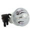 Eiki LTOBEIP4200PPX Phoenix FP Lamps Bare