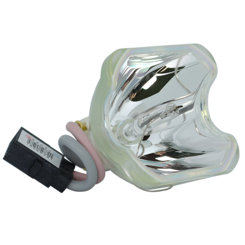 ACTO LTOBLX610PPX Phoenix FP Lamps Bare