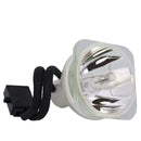 Sharp LTOBANSV10LPPPX Phoenix FP Lamps Bare