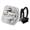 Sharp LTOBPGLS2000PPX Phoenix FP Lamps Bare