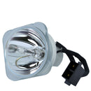 Sharp LTOBPGLW3000PPX Phoenix FP Lamps Bare