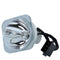 Sharp LTOBANLX30LPPPX Phoenix FP Lamps Bare