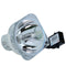 Sharp LTOBANLX30LPPPX Phoenix FP Lamps Bare