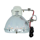 Phoenix LTOBSHP106PPX Phoenix FP Lamps Bare