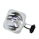 Phoenix LTOBSHP118PPX Phoenix FP Lamps Bare