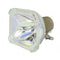 Phoenix LTOBSHP10PPX Phoenix FP Lamps Bare