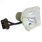 A+K LTOBVLTX70LPPPX Phoenix FP Lamps Bare