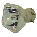 Specialty Equipment Lamps LTOBTEQX7801NPPH Philips FP Lamps Bare