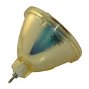 Sharp LTOBANS422EPPH Philips FP Lamps Bare