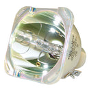 Panasonic LTOBETSLMP130PPH Philips FP Lamps Bare