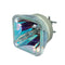 NEC LTOBNPP554UPPH Philips FP Lamps Bare