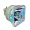 NEC LTOBNPP554UPPH Philips FP Lamps Bare