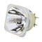 Hitachi LTOBCPX8170PPH Philips FP Lamps Bare