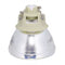 Vivitek LTOBDX263PPH Philips FP Lamps Bare