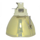 Christie LTOBDHD951QPPH Philips FP Lamps Bare