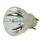 NEC LTOBNPU260WPPH Philips FP Lamps Bare