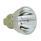 Optoma LTOBS300PPH Philips FP Lamps Bare