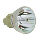 Optoma LTOBEX550STPPH Philips FP Lamps Bare