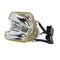 NEC LTOBVT37PUSH Ushio FP Lamps Bare