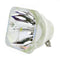 NEC LTOBNPP501XPUSH Ushio FP Lamps Bare