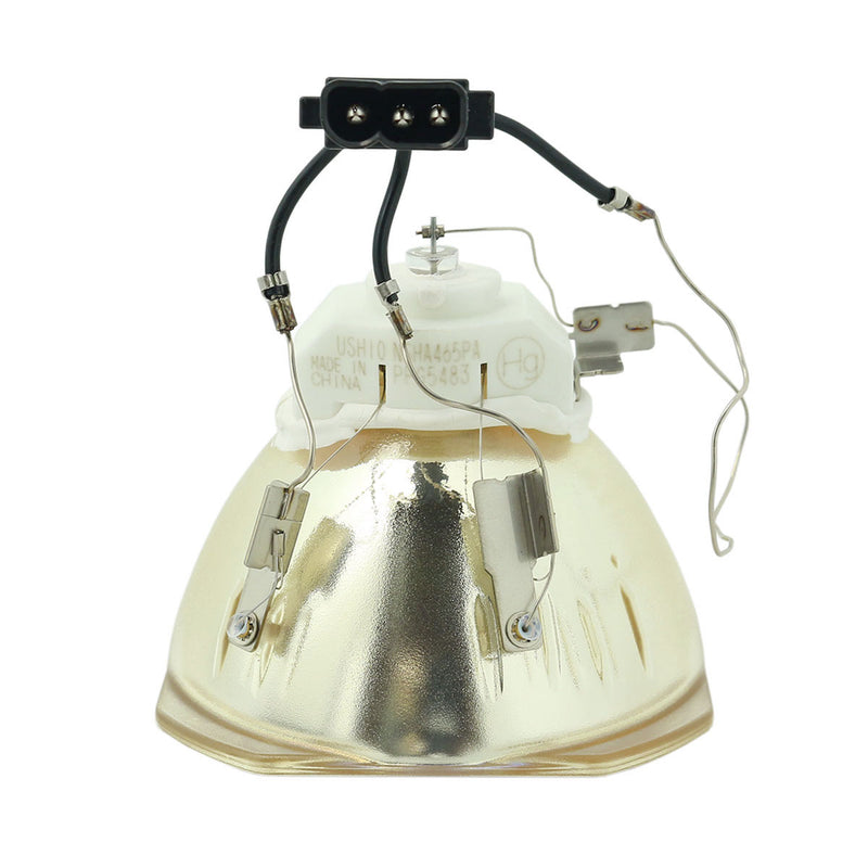 Panasonic LTOBPTDZ21KPUSH Ushio FP Lamps Bare