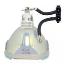 NEC LTOBDT02LPPUSH Ushio FP Lamps Bare