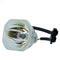 PLUS LTOBU5323PUSH Ushio FP Lamps Bare