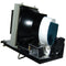 Optoma LTPRDX608POS