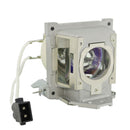 BenQ LTOHTP4940Lamp2PPH Philips FP Lamps with Housing