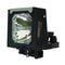 Sanyo LTOHPOALMP59POS Osram FP Lamps with Housing