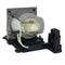 Optoma LTOHS300PPH Philips FP Lamps with Housing