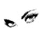 Audrey Hepburn Sexy Eyes/Attractive Eye Wall Decal Art Decor - Black Vinyl Sticker (   5