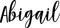 Vinyl Wall Art Decal Girls Custom Name - ’Abigail’ - Girls Bedroom Vinyl Wall Decals - Cute Wall Art Decals for Baby Girl Nursery Room Decor (12" x 28"; Black Cursive)   4