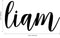 Vinyl Wall Art Decal Boys Custom Name - ’Liam’ Custom Text Name- 12" x 25" - Little Boys Bedroom Vinyl Wall Decals - Cute Wall Art Decals for Baby Boy Nursery Room Decor (12" x 25"; Black Cursive) Black 12" x 25" 3